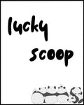 lucky scoop